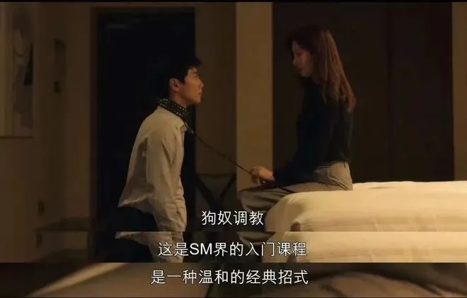 【西檬之家】新手必读：字母圈核心术语解析与BDSM安全实践指南
