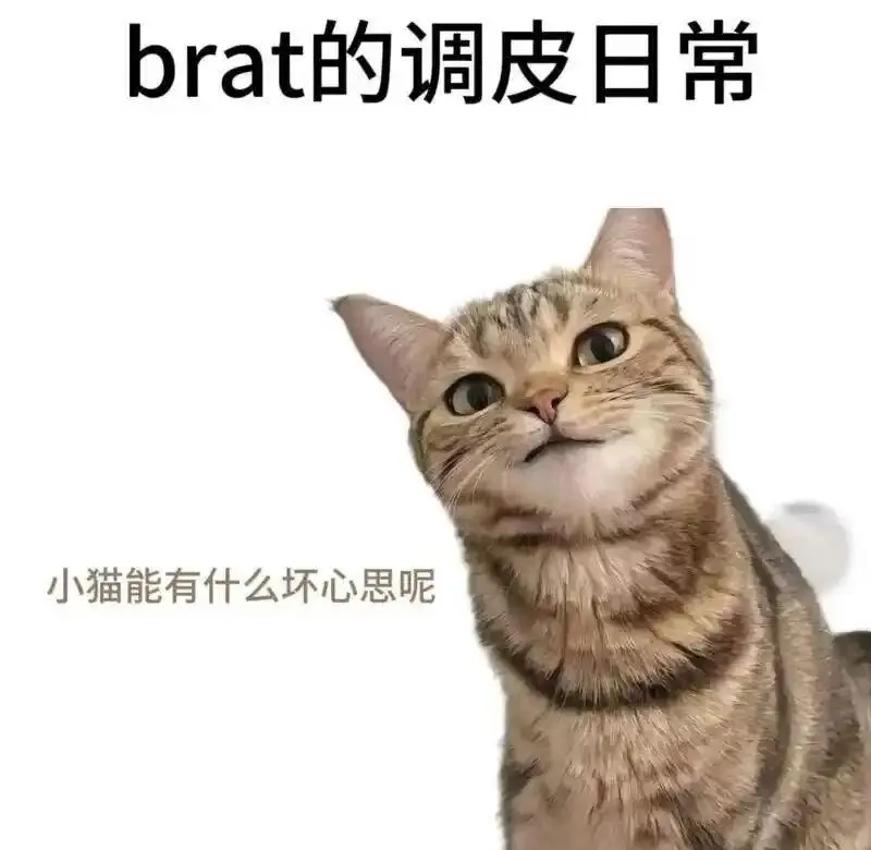 管教：实用指南