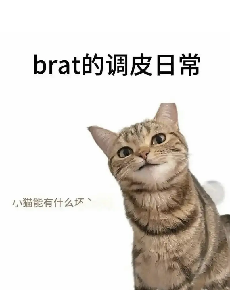 西檬之家-Dirty talk是什么？字母圈新人入圈