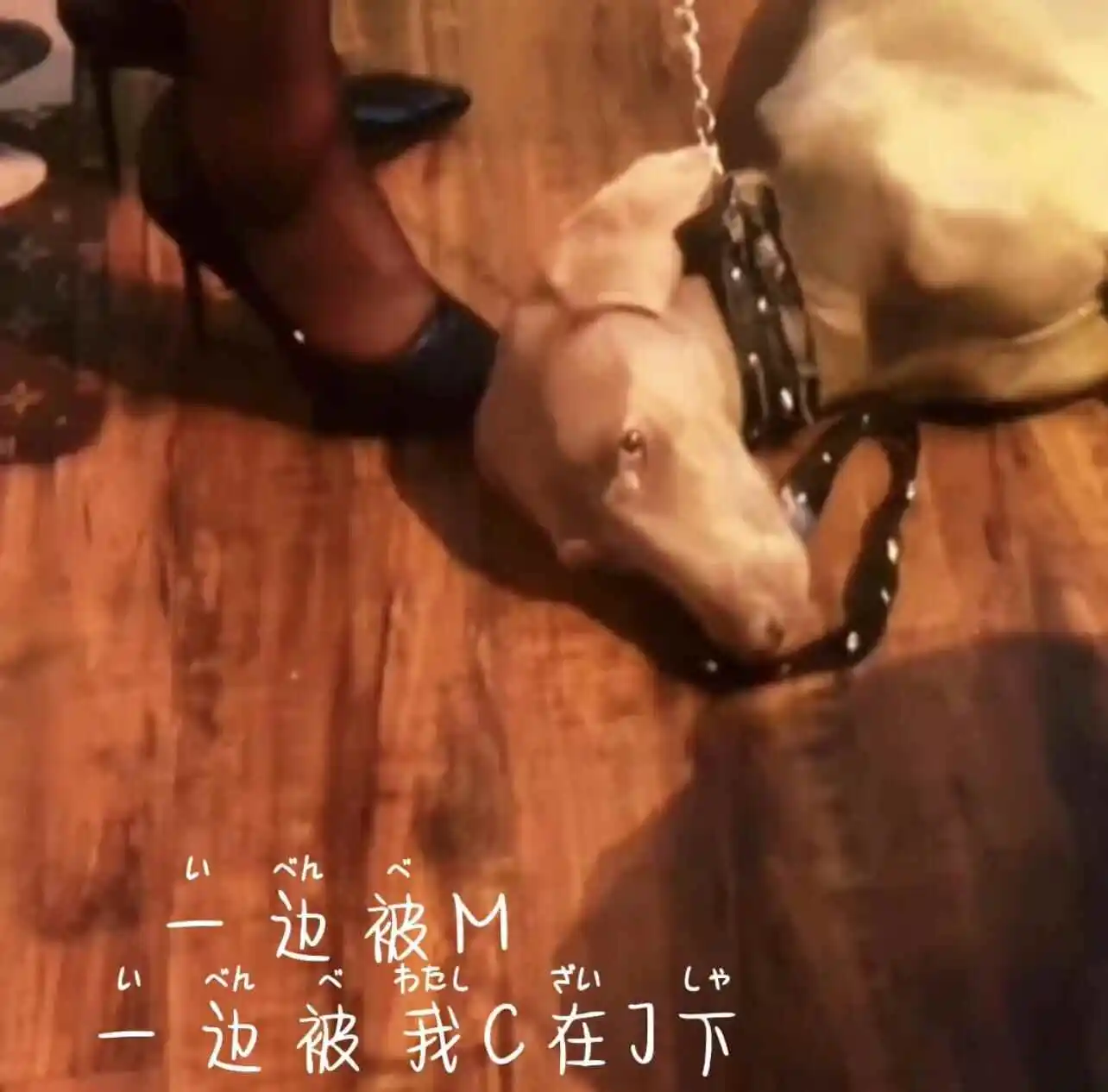西檬之家-字母圈的aftercare指南