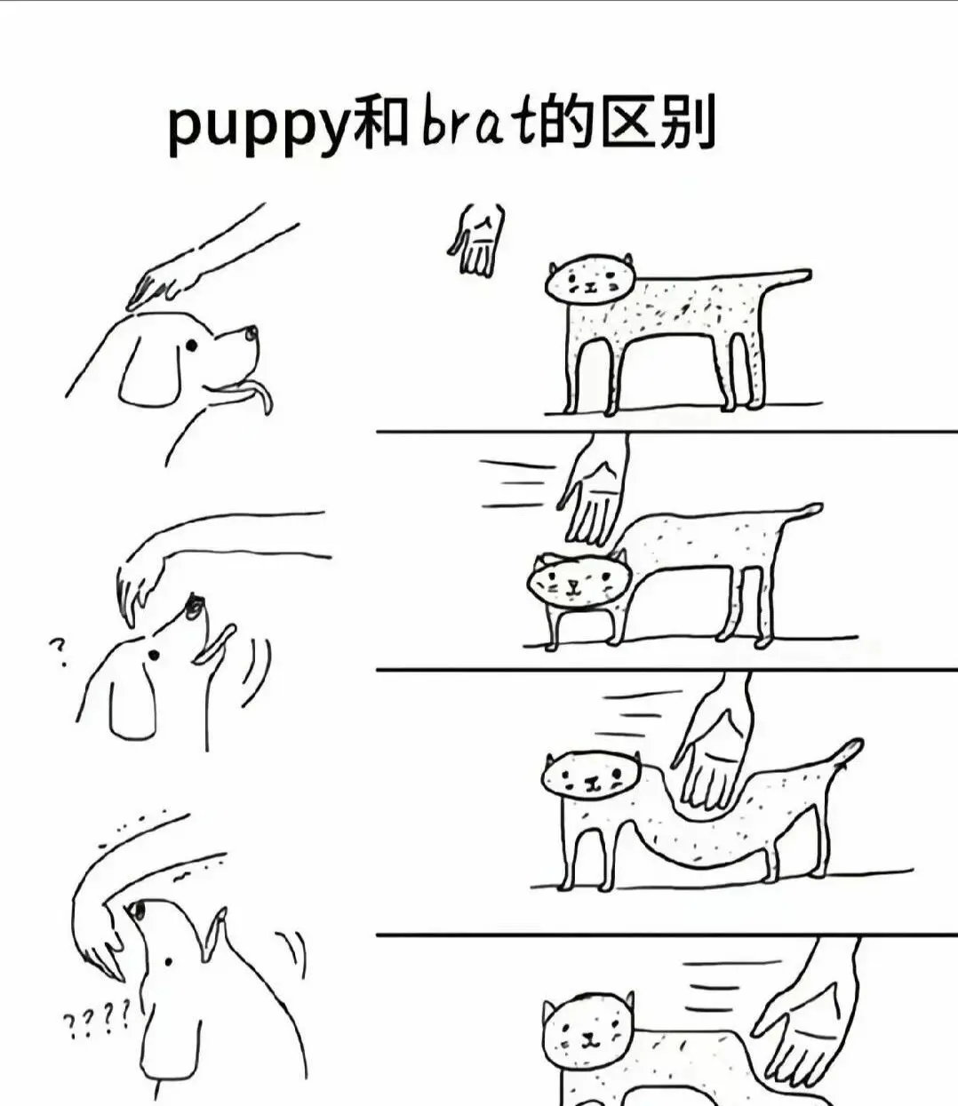 【西檬之家】BDSM字母圈新人入圈指南