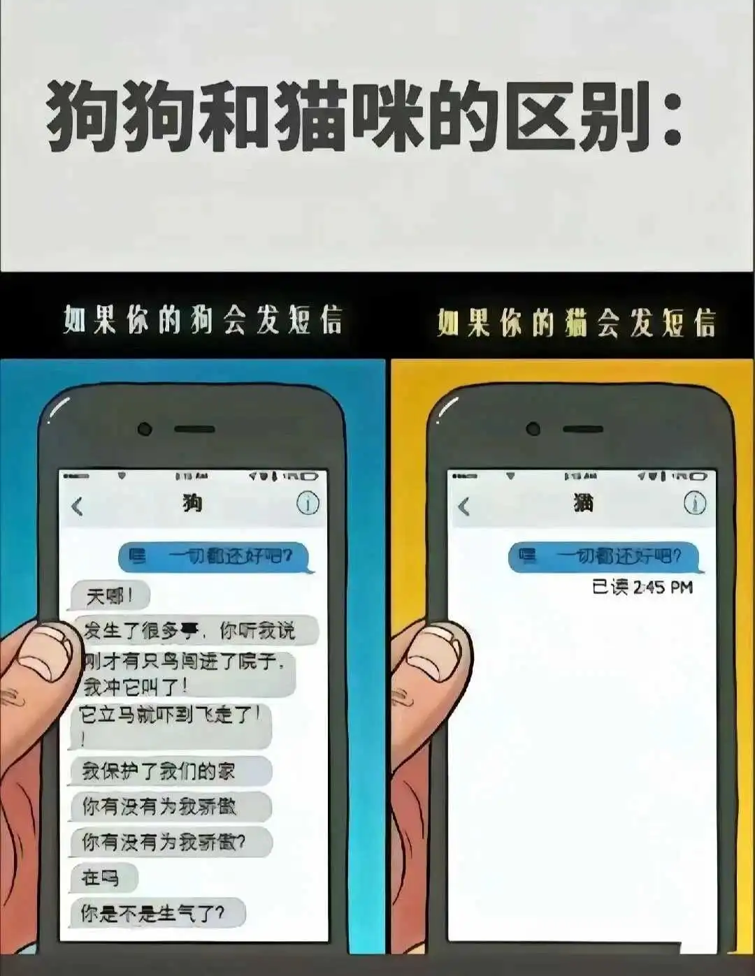 西檬之家-DDLG是什么？你的字母圈属性是什么？